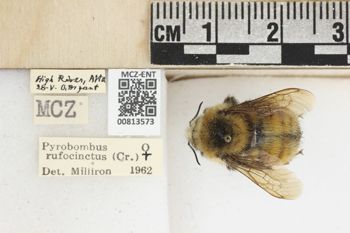 Media type: image;   Entomology 813573 Aspect: labels